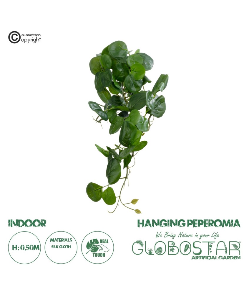 GloboStar® Artificial Garden HANGING PEPEROMIA 20599 Τεχνητό Διακοσμητικό Κρεμαστό Φυτό Πεπερόμια Μ30 x Π31 x Υ50cm